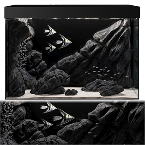 Aquarium
